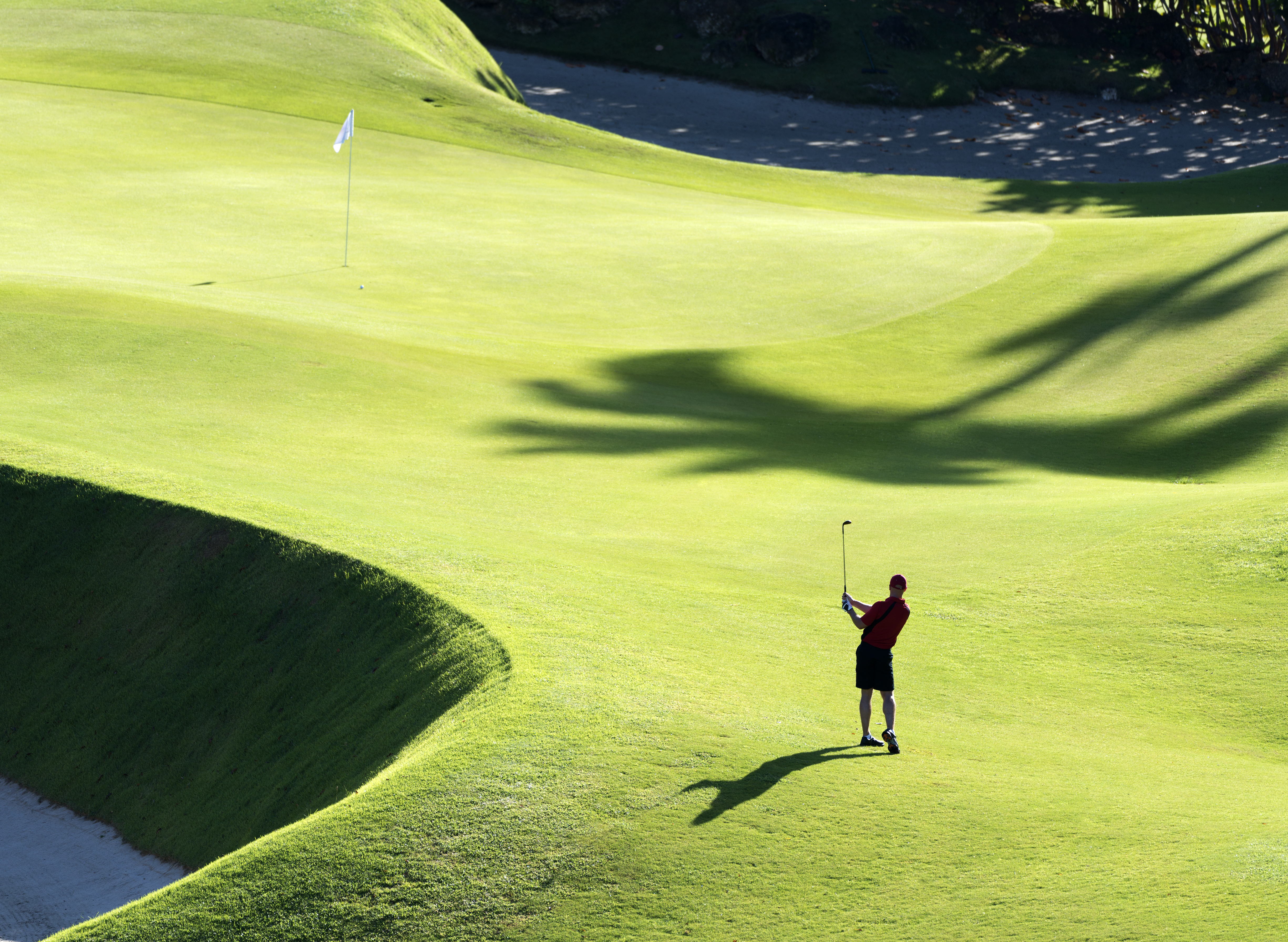 Golf's gateway drug has a name: "shot euphoria"