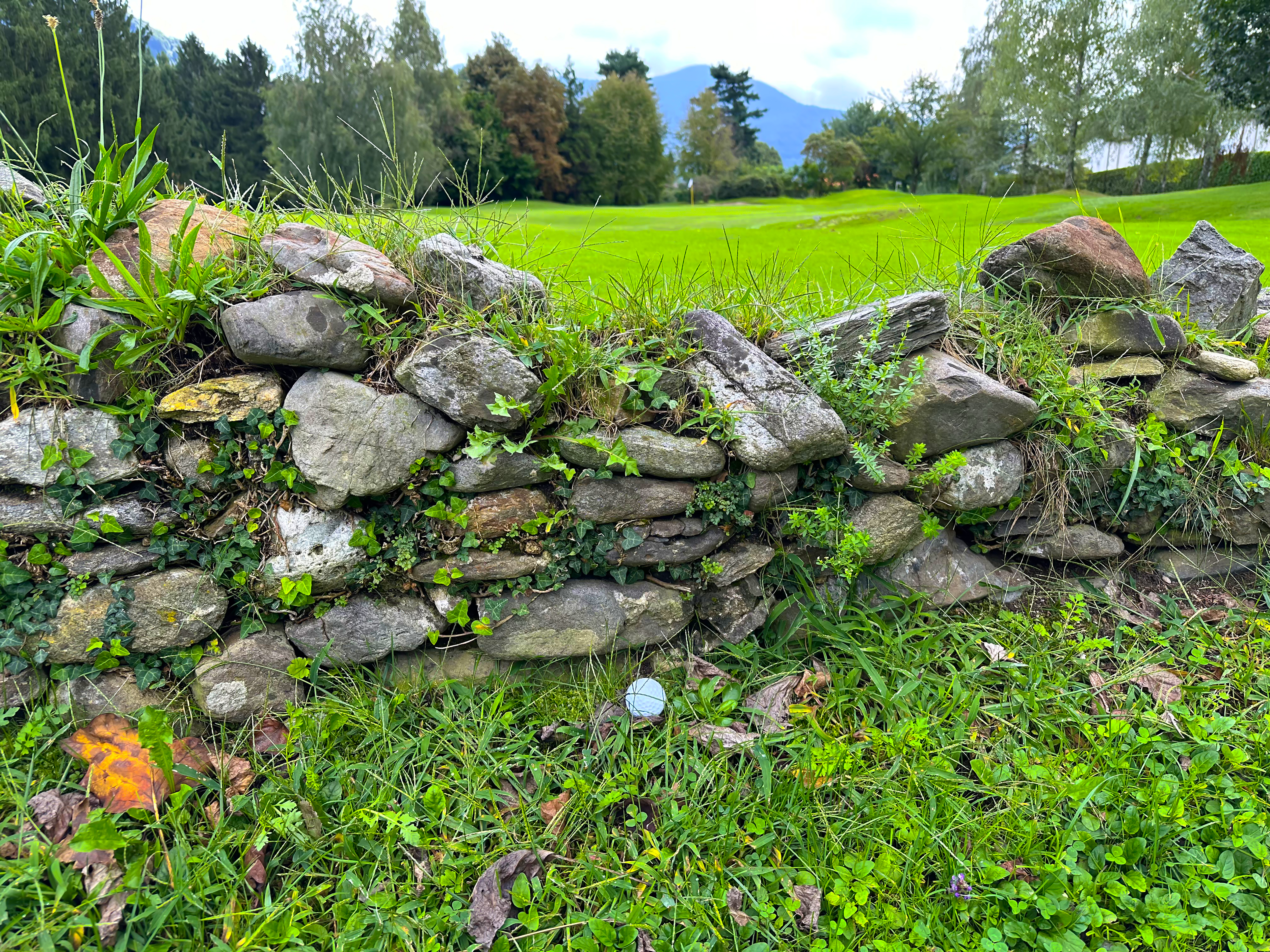 Rules of Golf Review: With no room for a backswing, he still advanced his ball forward from near a stone wall. Is that allowed?